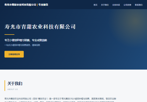工程服务行业企业官网效果