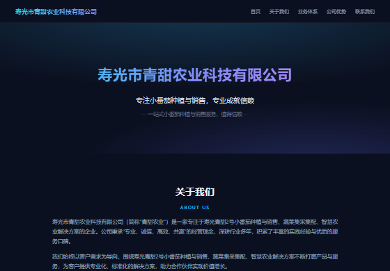 科技行业企业官网效果